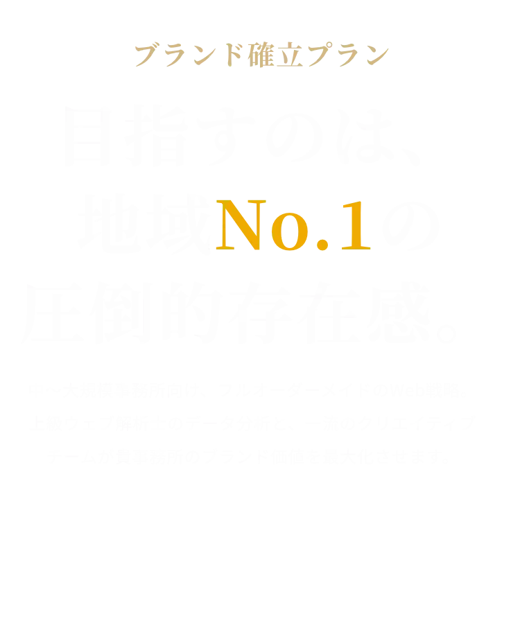ブランド確立プラン