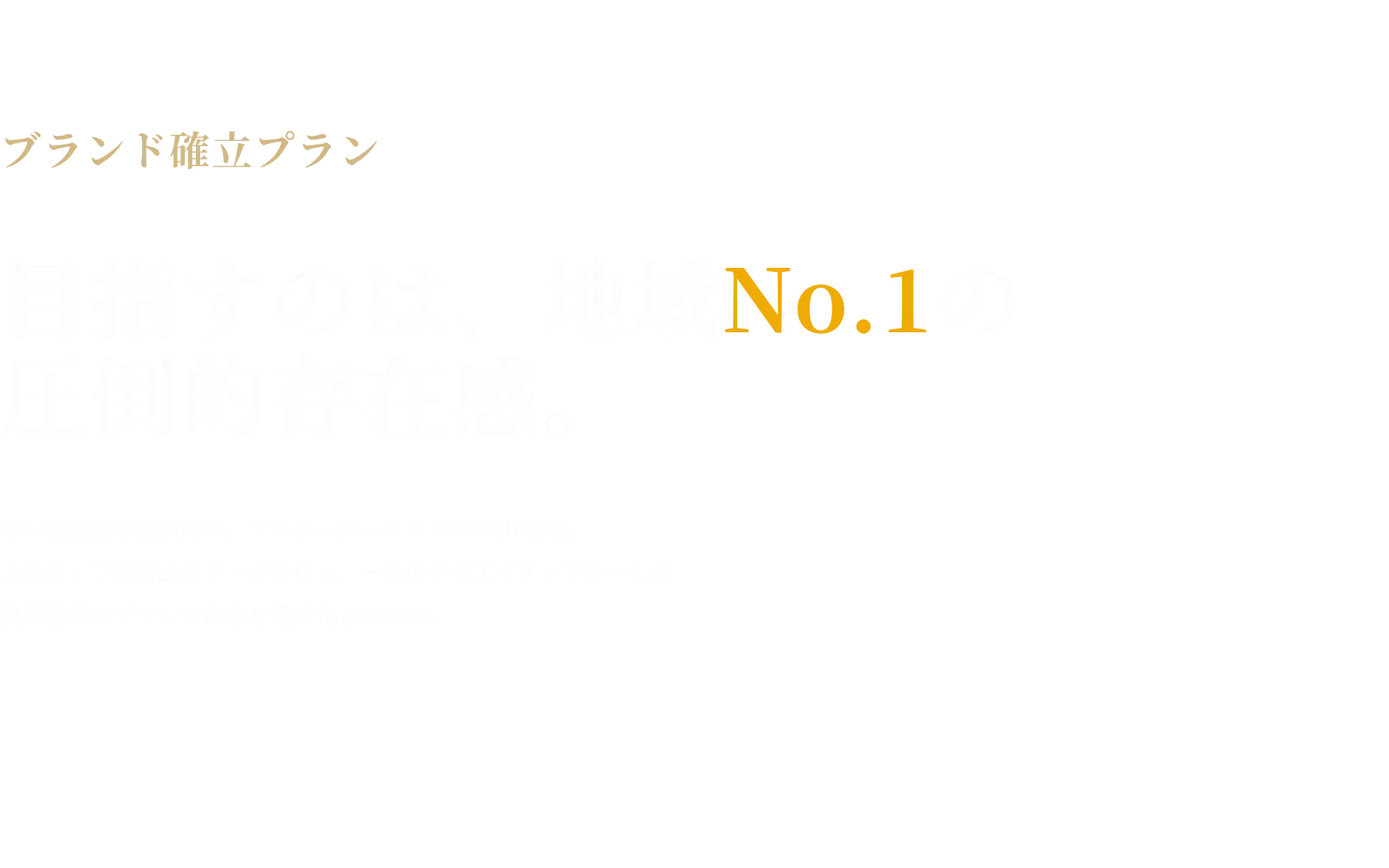 ブランド確立プラン